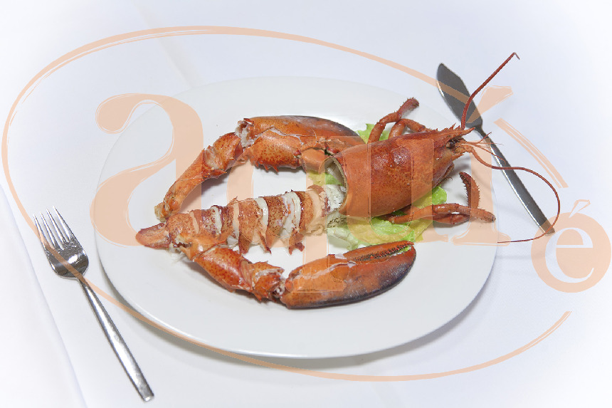 bogabante-cocido-2863-1