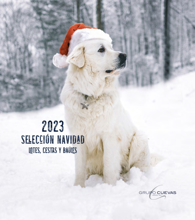 Catalago_Navidad_2023-15