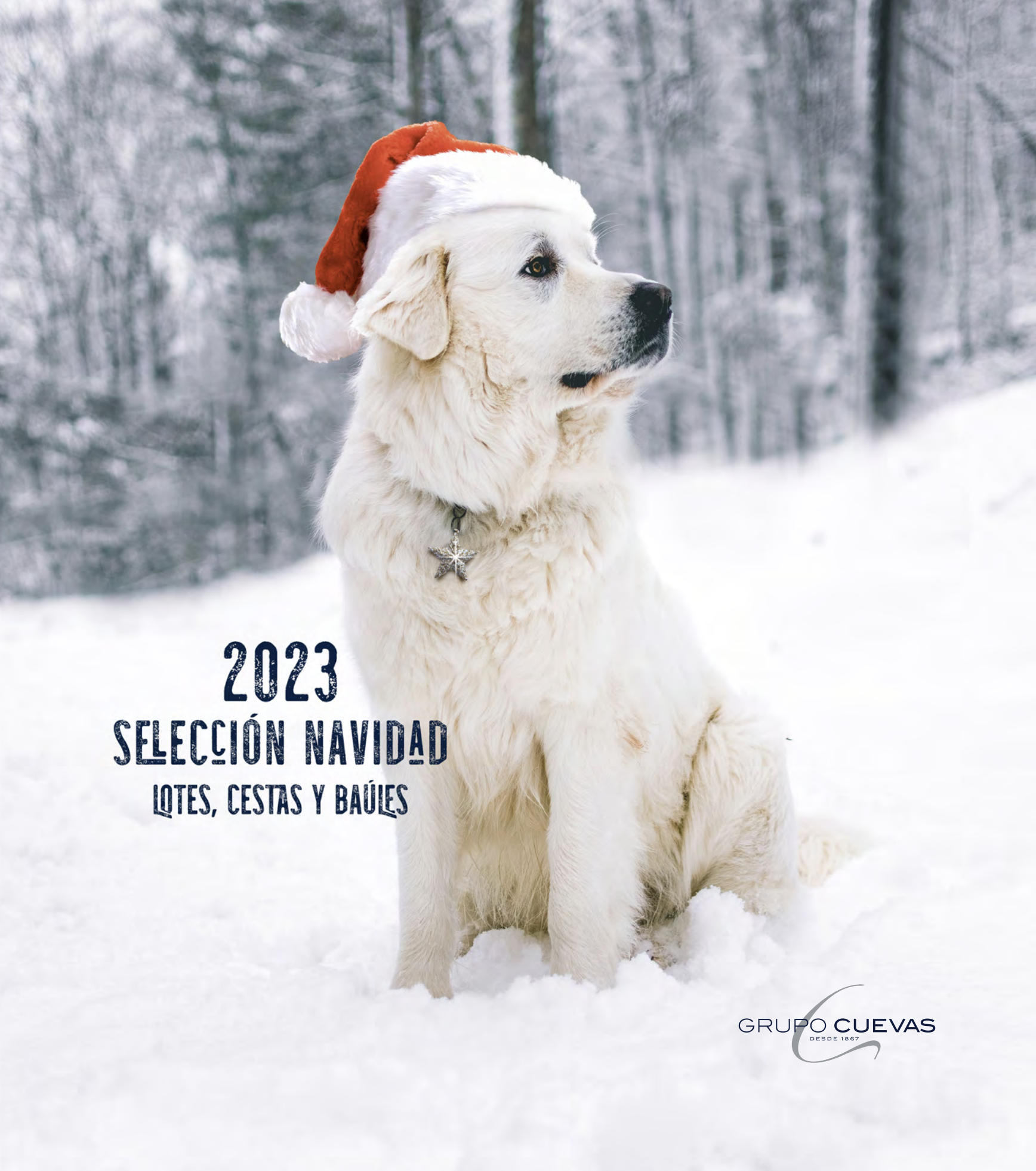 Catalago_Navidad_2023-15