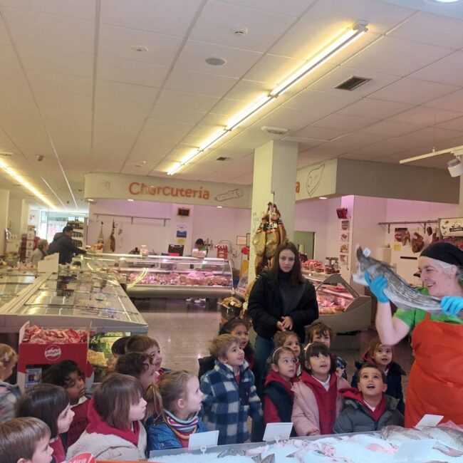 visita colegio labor plenus camelias