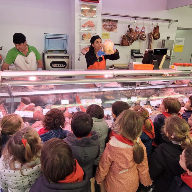 colegio labor camelias